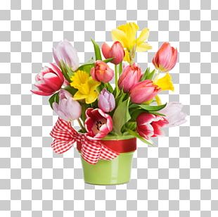 Flower Pot PNG, Clipart, Backgrounds, Beauty In Nature, Blossom, Botany ...