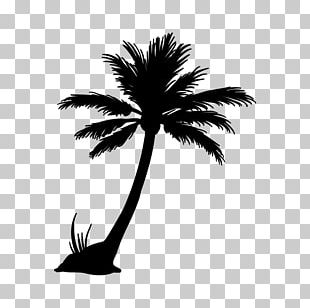 Download Coconut Tree Silhouette Png Images Coconut Tree Silhouette Clipart Free Download