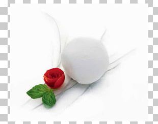 Cupcake Food Recipe Love PNG