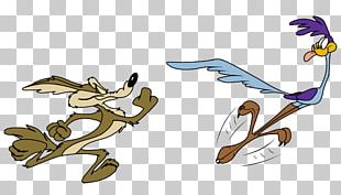 Wile E. Coyote And The Road Runner Looney Tunes Cartoon PNG, Clipart ...