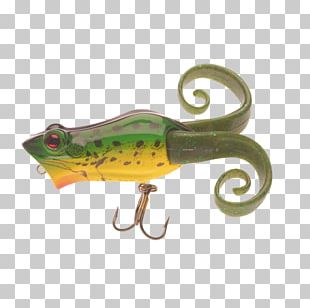 Northern Pike Recreational Fishing Angling PNG, Clipart, Angling