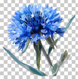 Digital Art - Artistic Illustration Of A Blue Cornflower PNG