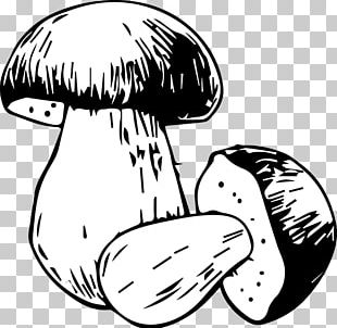 Nose Illustration Line Art Headgear PNG