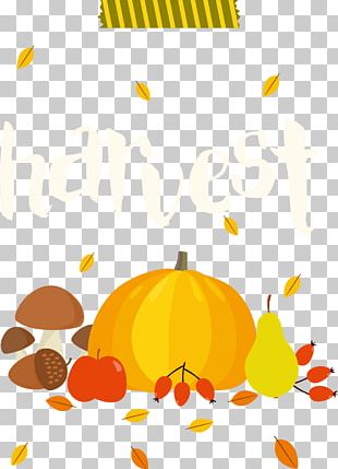 Autumn Harvest Festival PNG