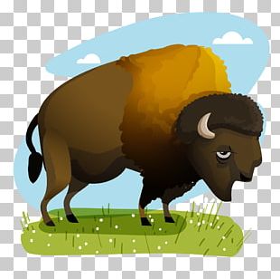 Dairy Cattle Sheep Mexico American Bison PNG