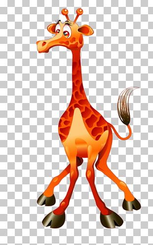Giraffe Cartoon Drawing Illustration PNG