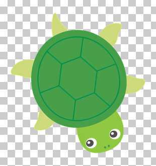 Icon - Adorable Cartoon Turtle Design PNG