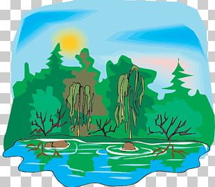 Wetland Plants PNG Images, Wetland Plants Clipart Free Download