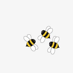 Bee PNG, Clipart, Animal, Animals, Bee, Bee Clipart, Bee Clipart Free ...