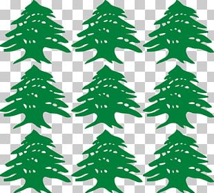 Fir Flag Of Lebanon Cedrus Libani PNG
