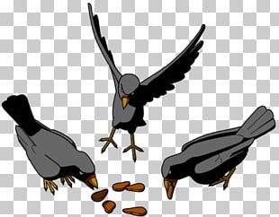 Sunflower Seed Common Sunflower Eating Food PNG, Clipart, Common ...