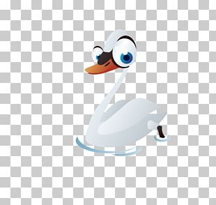 Domestic Goose Swan Goose Duck PNG, Clipart, Akitainu, Animals, Anser ...