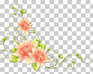 Frames Rose Graphic Frames PNG, Clipart, Bead, Body Jewelry, Bracelet ...