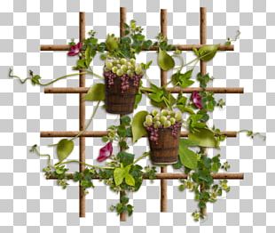 Centerblog Grape Floral Design PNG
