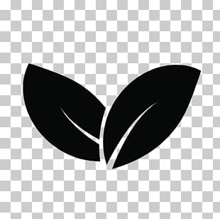 Leaf Two Leaves And A Bud PNG