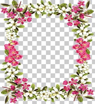 Rose Shrub Flower PNG, Clipart, Annual Plant, Bushes, Chrysanths, Cut ...