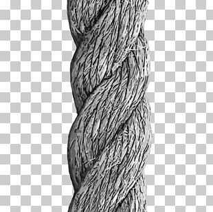 Rope Euclidean Drawing PNG, Clipart, Angle, Cartoon, Cartoon Rope, Divider,  Drawing Free PNG Download