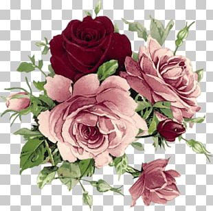 Rose Flower Vintage Clothing Pink PNG, Clipart, Antique, Artificial ...