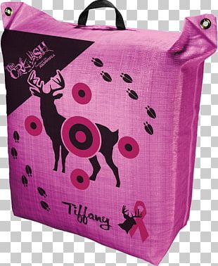 Target Archery Target Corporation Bow And Arrow Shooting Targets PNG