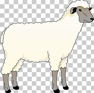 Sheep Cartoon Drawing Goat PNG, Clipart, Alpaca, Animals, Baa Baa Black ...