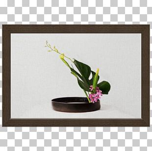 Floral Design Frames Rectangle PNG