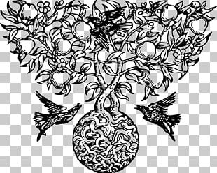 Root Tree Drawing PNG
