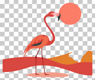 Flamingo - Flamingo With Sun PNG