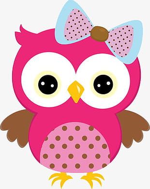 free owl clipart image