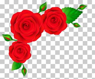 Red Rose Border PNG Images, Red Rose Border Clipart Free Download