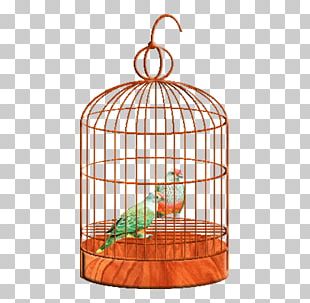 Birdcage Parrot PNG, Clipart, Animals, Bird, Bird Cage, Birdcage, Cage ...