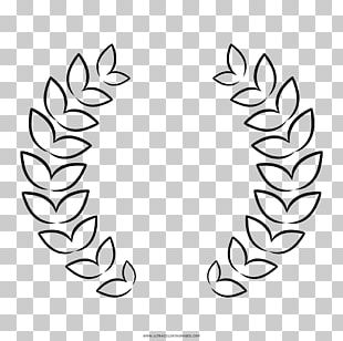 Laurel Wreath Bay Laurel PNG, Clipart, Bay Laurel, Branch, Branches ...