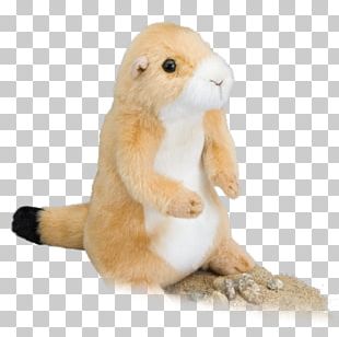 Prairie Dog Coyote Hare Stuffed Animals & Cuddly Toys PNG