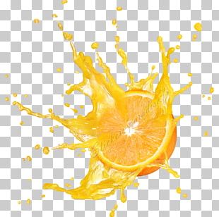 Orange Juice Lemon Juicer PNG, Clipart, Apple Fruit, Citrus, Clay ...