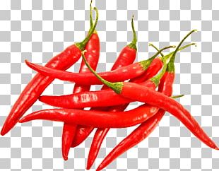 Bell Pepper Chili Pepper Vegetable PNG, Clipart, Bell Peppers And Chili ...