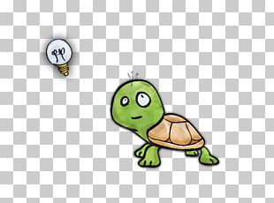 Tortue Png Images Tortue Clipart Free Download