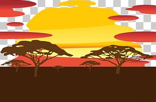 Sunset Silhouette Sky PNG