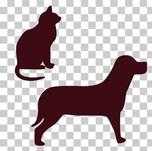 Dog–cat Relationship Dog–cat Relationship Pet Sitting PNG, Clipart ...