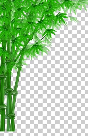 Bamboo Cartoon PNG, Clipart, Advertising, Bamboo Border, Bamboo Frame ...