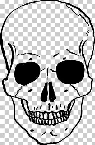 Nose Skull Jaw Drawing PNG, Clipart, 8 January, Bone, Drawing, Face