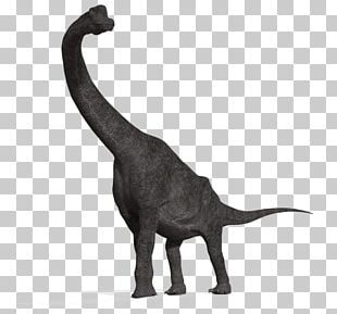 Apatosaurus Diplodocus Brachiosaurus Dinosaur Tyrannosaurus PNG ...