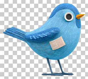Blue Bird - Blue Bird With Note PNG
