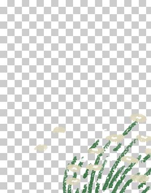 Leaf Shoe Line Tree Font PNG