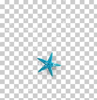 Starfish Turquoise Body Jewellery PNG