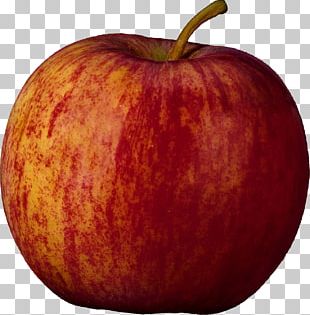 Apple PNG, Clipart, Apple Free PNG Download