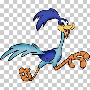Wile E. Coyote And The Road Runner Looney Tunes Animated Cartoon PNG
