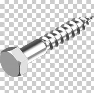 Screw Stainless Steel Bolt Fransk Skruv PNG