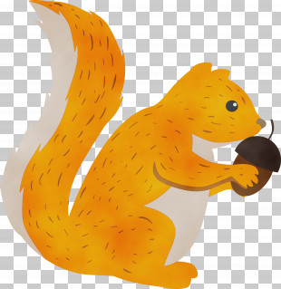 squirrel clipart borders