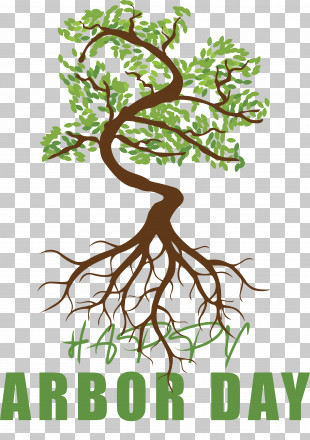 Tree Root Branch PNG, Clipart, Branch, Flora, Girdling, Leaf, Line Free ...