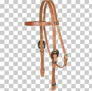 Horse Tack PNG, Clipart, Animals, Horse, Horse Like Mammal, Horse Tack ...