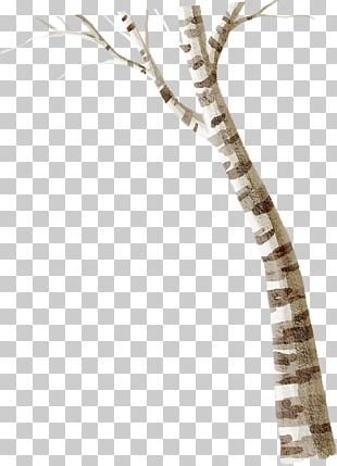 Lidong Winter PNG
